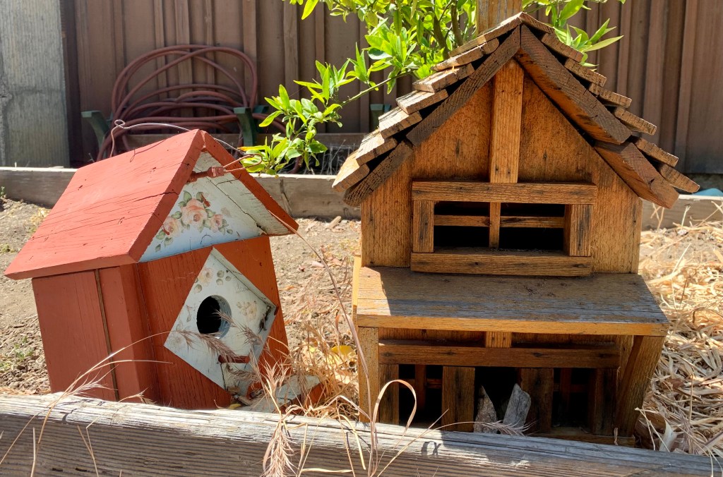 Cultivate a Sense of&nbsp;Place