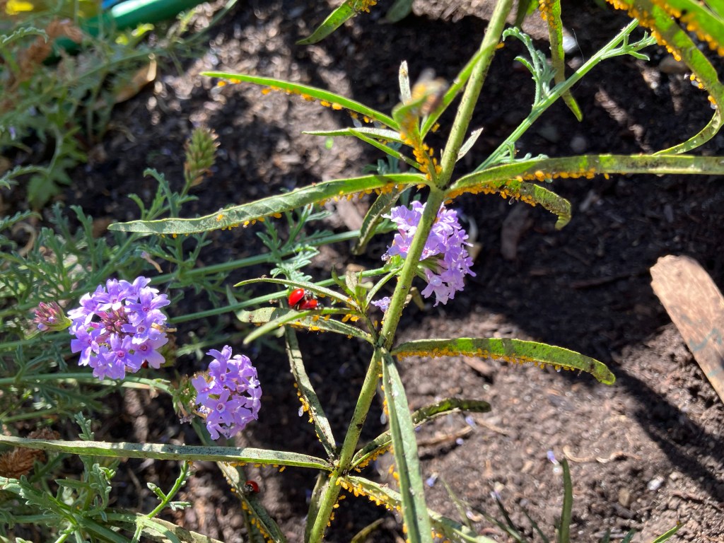 Seasonal News: Winter 2024