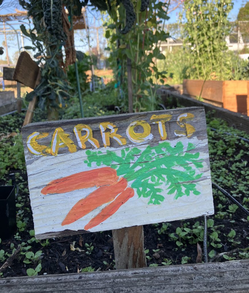 Seasonal News: Spring&nbsp;2026